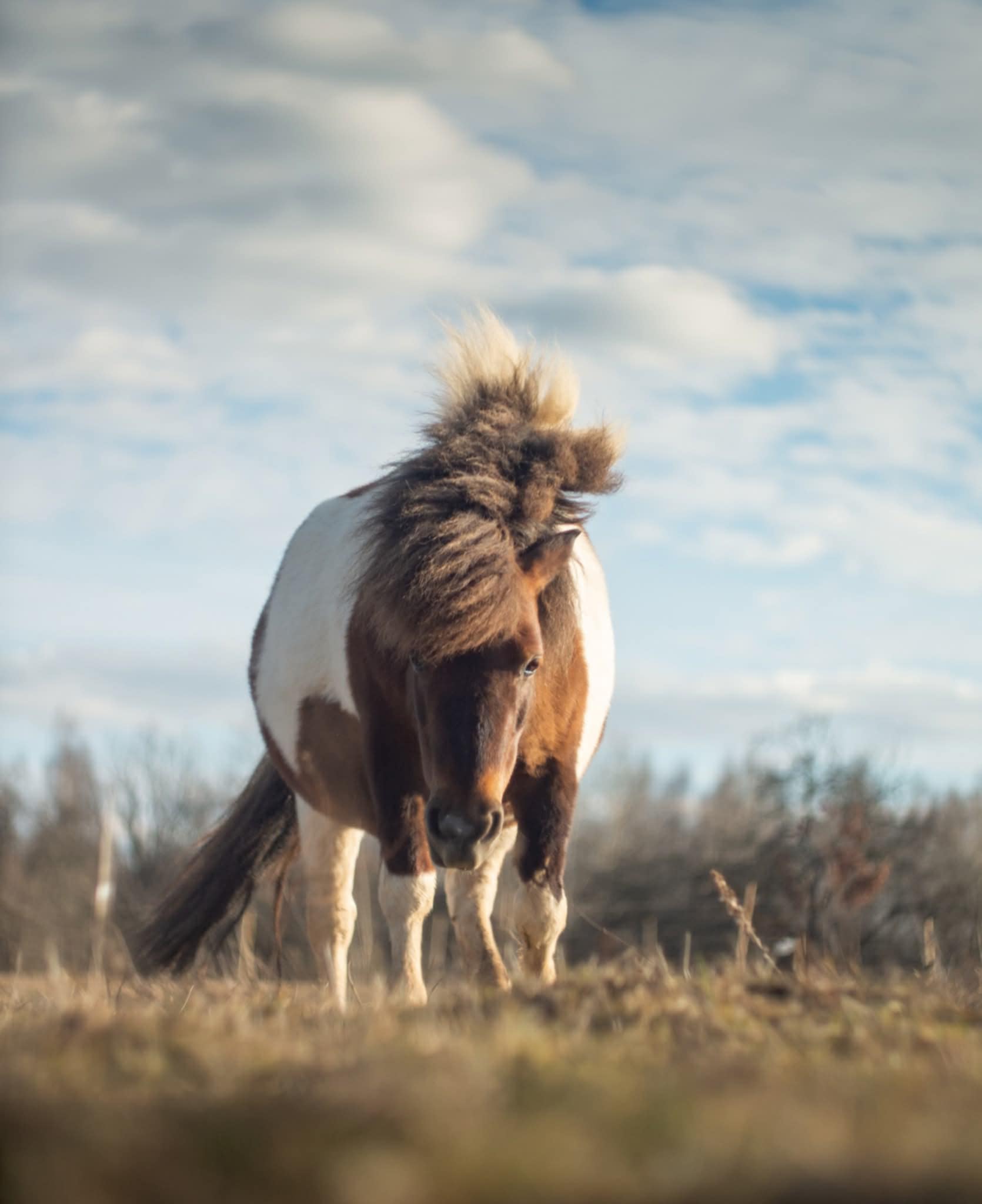 KAIP SUPERMAMYTĖ MARGUTĖ GYVENA ASMENINĮ GYVENIMĄ