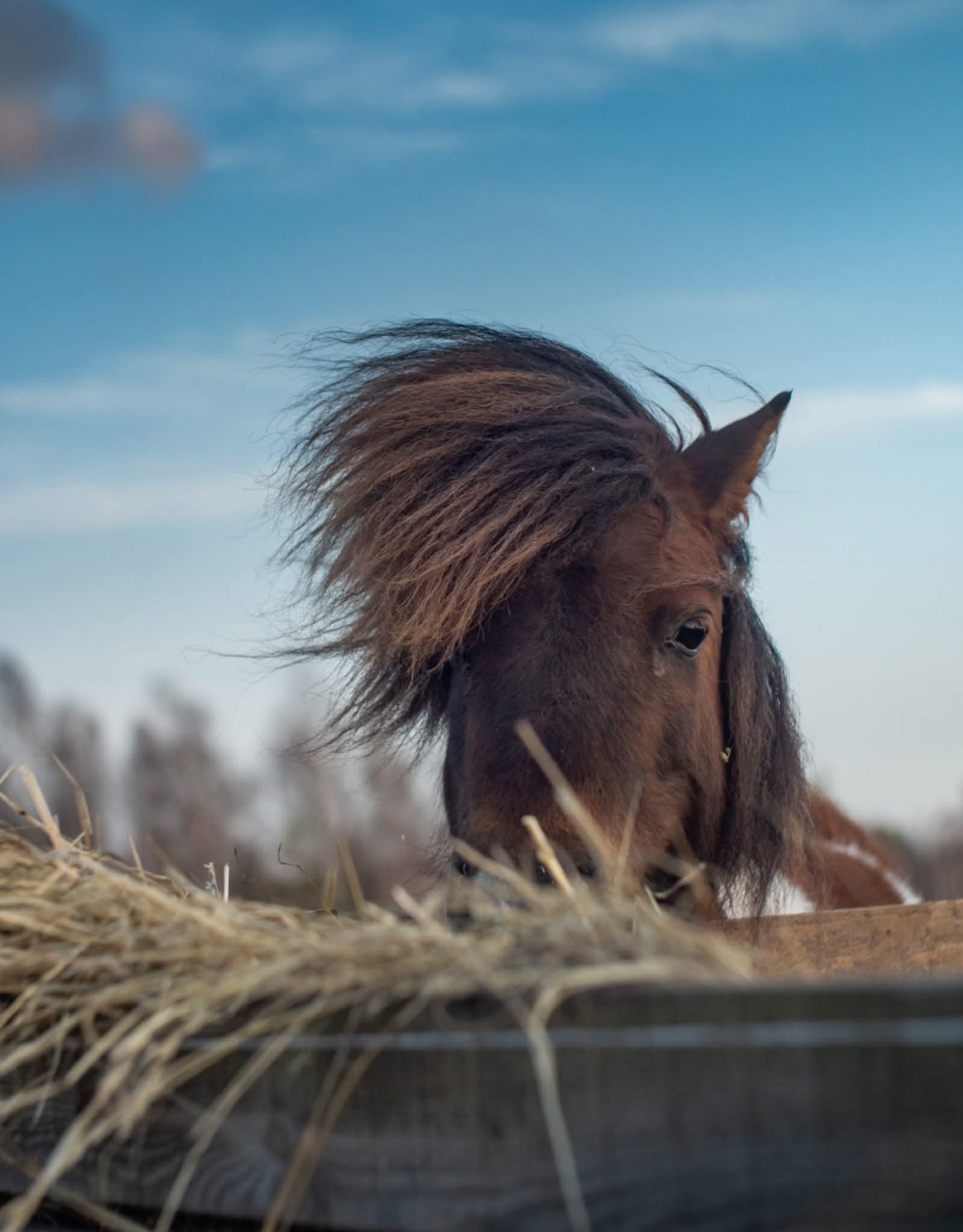 SLĖNIO SANTA BARBARA, ARBA KAIP MARGUTĖ SERGĖJO SAVO VAIKĄ NUO MERGOS