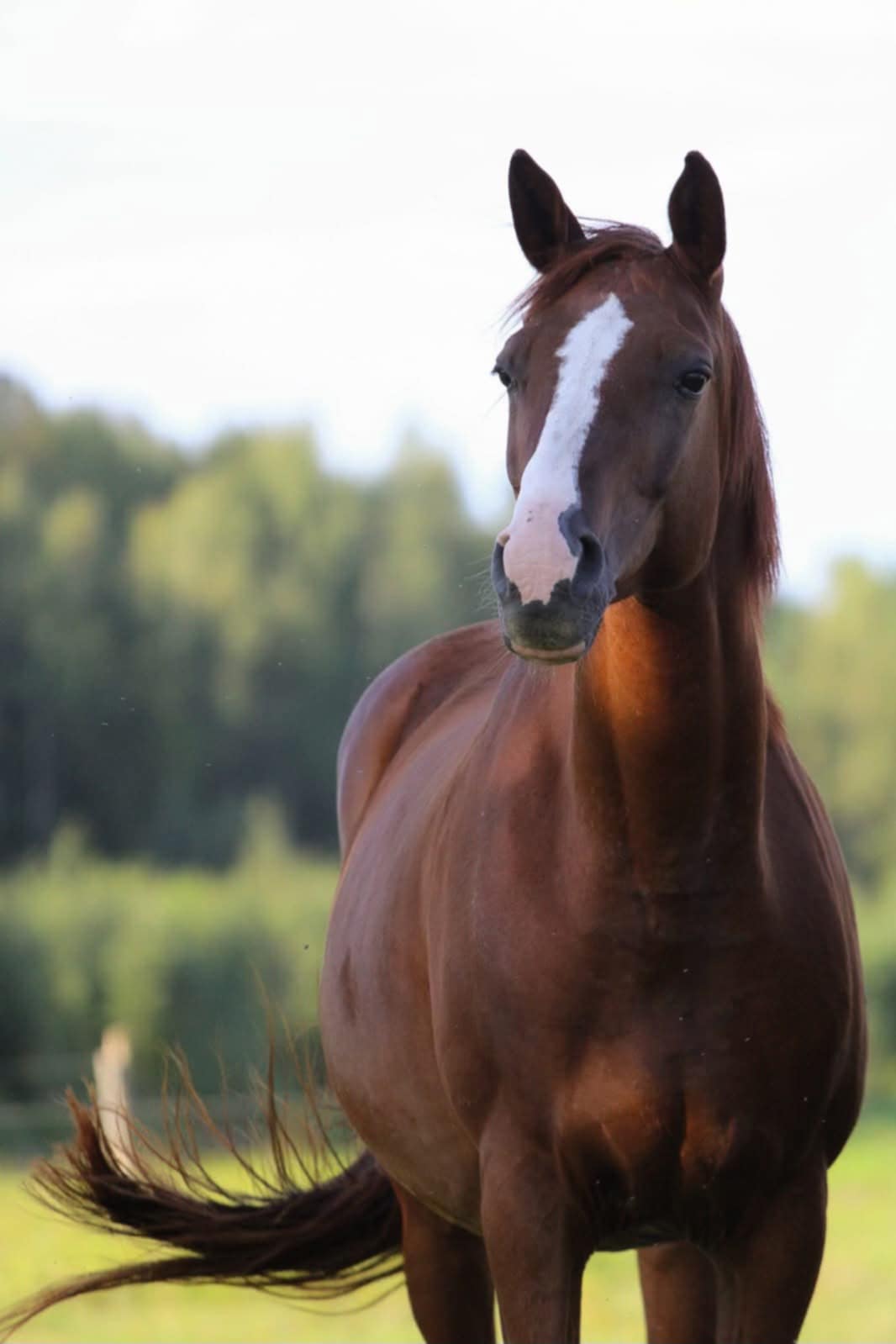 NAUJOKAS EURAS – SU DAUG NULIŲ