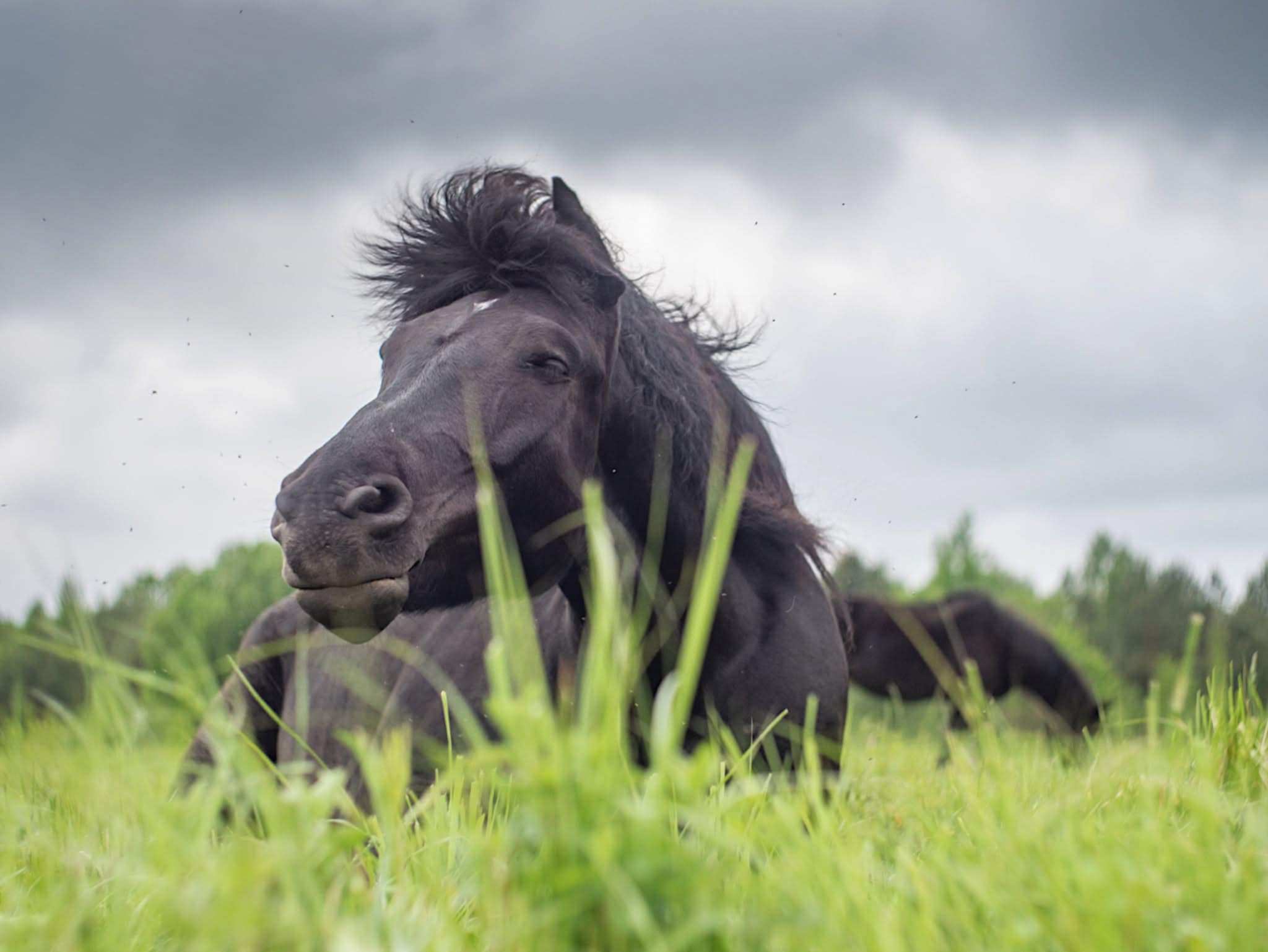 „ESI JAU PAKANKAMAI DIDELĖ“ 