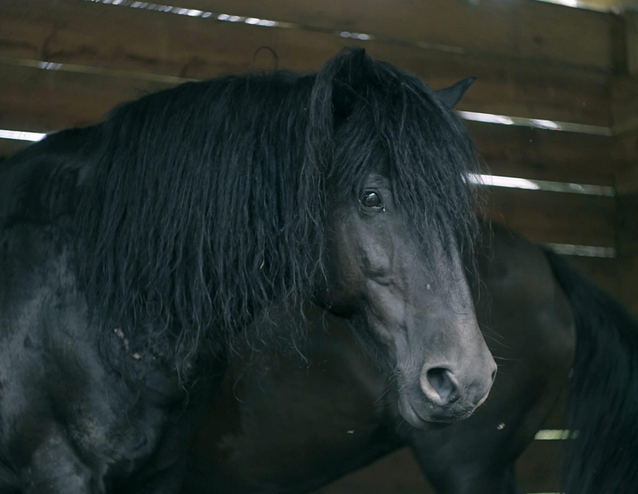 MERKYS. GĖRIO IR BLOGIO BUVEINĖ