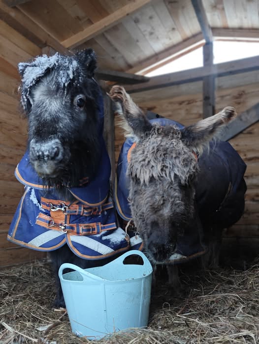 TIE KURIE LIEKA. ( lª dalis )